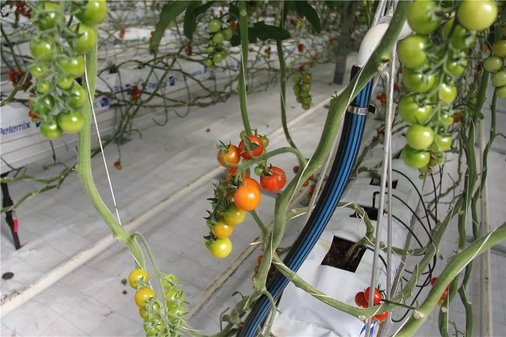 640.webp (15).jpg 640.webp (15).jpg