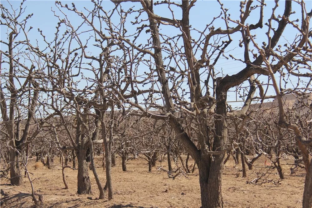 640.webp (20).jpg 640.webp (20).jpg